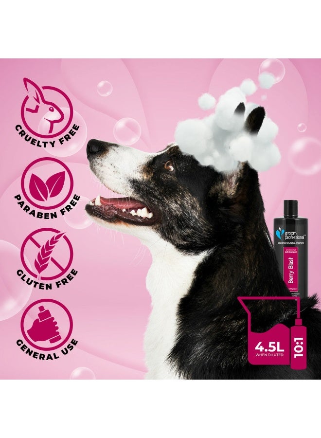 Groom Professional Berry Blast Shampoo 450ml – Fruity Shine & Soft Coat Care - Image 2